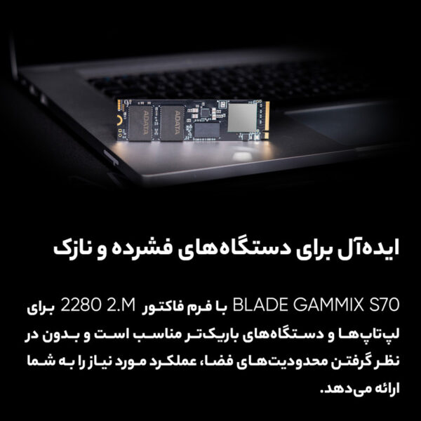 اس اس دی اینترنال ای دیتا ایکس پی جی مدل PCIE M2 GAMMIX S70 BLADE ظرفیت چهار ترابایت - تصویر 10